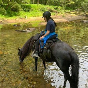 Meet your Posher, Juli